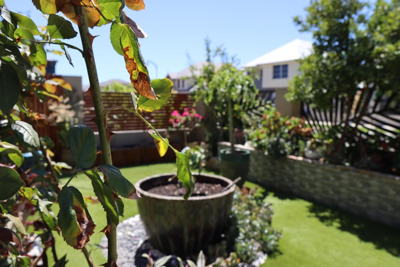 Comfortable Luxury Home Perth Dış mekan fotoğraf